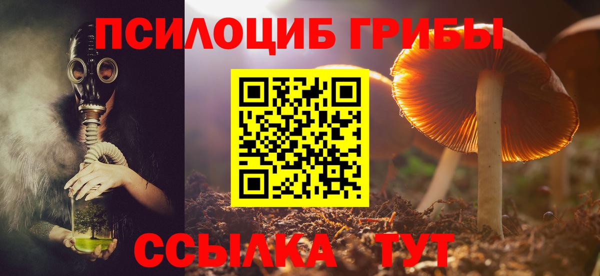 Галлюциногенные грибы Magic Shrooms  Вход с VPN  Кинель 