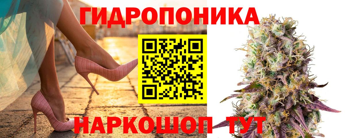 Марихуана тримм  Конопля Ganja  Кинель  Каннабис конопля  Вход с VPN 